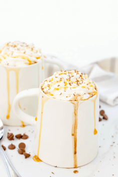 Salted Caramel Hot Chocolate - 20 “Taste-Teasing” White Hot Chocolate Cups